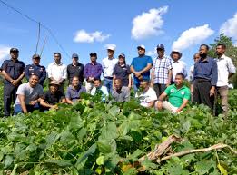 Tropisches klima mit temperaturen zwischen 20 und 35°c. Fao In Timor Leste Food And Agriculture Organization Of The United Nations