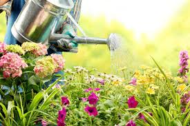 Maybe you would like to learn more about one of these? 13 Essential Tips For Conserving Water In Your Garden
