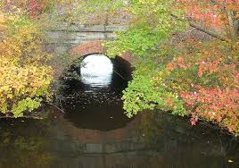 Railroad Trestle Beaver Lake Shu Swamp Mill Neck Ny 2006 Nature Preserve Long Island Ny Island