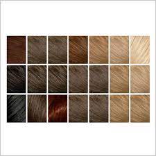 Warna rambut yang diberikan oleh cat rambut yang halal dari garnier bersifat tahan lama disertai efek kilau yang indah. Cara Mengetahui Cat Rambut Yang Halal Kumparan Com