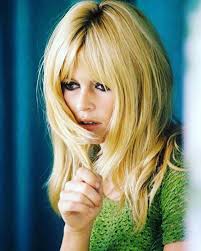 Brigitte Bardot and the perfect blonde hair photographed by Ghislain  Dussart c. 1965.
