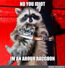 Meme No You Idiot Im An Arour Raccoon All Templates Meme Arsenal Com