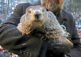In the film, murray plays phil connors, an egocentric pittsburgh, pennsylvania tv weatherman who. Groundhog Day In Punxsutawney To Go Virtual Pittsburgh Post Gazette