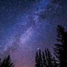 Bobby Joy McAlister Obituary (1937