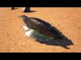 The fire thing didn't work for me. Ark Ps4 Tutorials 2 How To Remove Leeches Solo Youtube