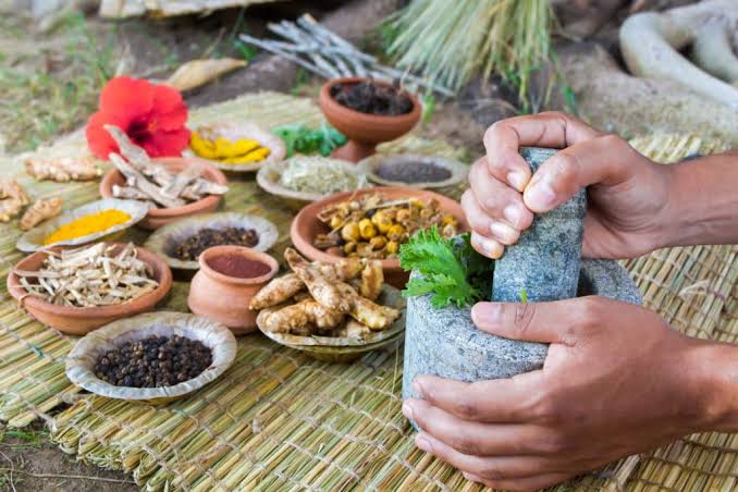 Ayurvedic herbal treatment and therapy at Profrea
