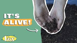 When your done, all of the dirt — when your pants are dirty from gardening all day you throw them in the washing machine. The Secret History Of Dirt Youtube