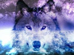 Hd wallpapers and background images Cool Wolf Paintings Shefalitayal