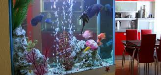 Senior (ages 65+) number of guests*. Beautiful Built In Aquariums Hipages Com Au