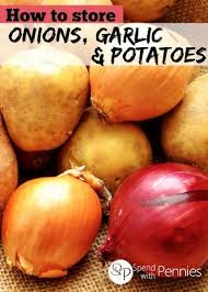 Potato bin idea / build your own potato growing box finegardening. How To Store Onions Garlic Potatoes Spend With Pennies