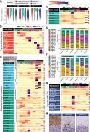 It is a tropical world filled with an endless archipelago, dotted with ruins made of marbled cheese. An Atlas Of The Protein Coding Genes In The Human Pig And Mouse Brain Science