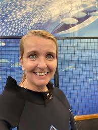 Are marina rays harmless to swimmers?