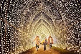 Lightscape Comes To Houston Botanic Garden For Holiday Season