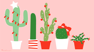 Cactus desktop background (5 результатов). December 2017 Christmas Cactus Calendar Wallpaper Sarah Hearts