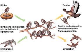 The saguaro cactus is a large species of cactus that dominantly grows in the arizona state of the us. Env Sci Ch 8 Understanding Populations Review Quizizz