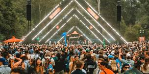 Disco Dom