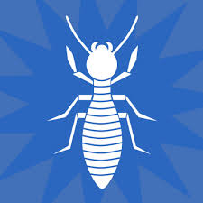 Below, i have reviewed 3 of the best termite spray products that are guaranteed to do the. Termites Pest Control In Wisconsin 1st Choice Pest Solutions