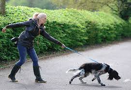 When the leash goes tight again, do it again. How To Stop A Dog From Pulling