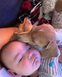 Daniel Cruz (@vegawins) · Sacramento, CA