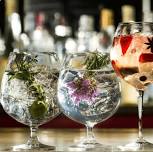 The Gin Train Experience