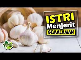 Mantul Gan Cuman 3 Siung Bawang Putih Tapi Istri Menjerit Semalaman Youtube Kesehatan Pria Pendidikan Kesehatan Kesehatan