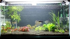 ライブドアブログ