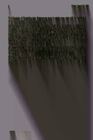 Image result for Vernonia agrianthoides