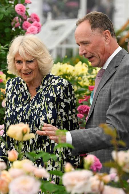 In memory of David J.C. Austin: the roses gardeners return to time and  again | House & Garden