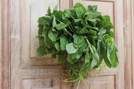 Maybe you would like to learn more about one of these? Understanding Amaranth Greens Arakeerai Mulaikeerai And Sirukeerai Paticheri