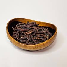 Image result for Xylia africana