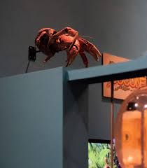 Stunning holiday snap shows fearless tourist holding a monstrous crustacean that feasts fearless holidaymaker mark pierrot picked up a coconut crab and posed fora photo in the christmas. Crabzilla Our Terrifying Coconut Crab Is Watching You Te Papa S Blog