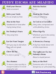 Funny Idioms List Of 25 Best Funny Idioms You May Not Know Esl Teacher English Phrases Idioms Idioms And Phrases English Idioms