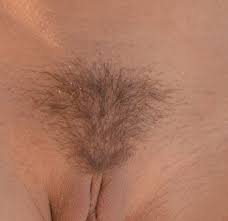 Venushügel - Nahaufnahmen - Erotikforum - Teufelchens Sexforum