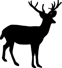Deer Clipart Whitetail Deer Deer Whitetail Deer Transparent Free For Download On Webstockreview 2021 It isn't something that can be done with css because the white area is defined, and. deer clipart whitetail deer deer