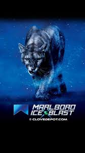 In addition to being a normal mentholated cigarette, the ice blast also contains a menthol capsule inside. Marlboro Ice Blast Tiger Wallpaper For Iphone 6 By Clovecigarette On Deviantart