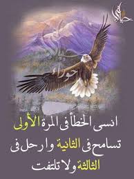 Pin By فلسطينية ولي الفخر On روائع الحكم Arabic Quotes Perfection Quotes Photo Quotes