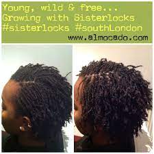 Www Almocado Com Growing Hair Styles African Natural Hairstyles Sisterlocks