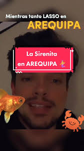 Concierto de Lasso y la melodía de la limpieza en Arequipa