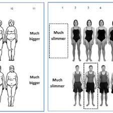 Beside meaning and definition for word emaciated, on this page you can find other interesting information too, like synonyms or related words. Pdf Emaciated Mannequins A Study Of Mannequin Body Size In High Street Fashion Stores