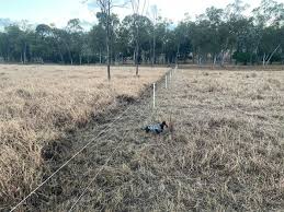 Profile for Trott Family Grazing
