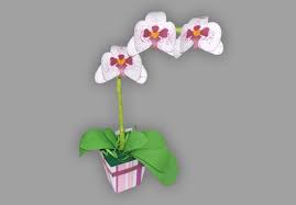 Die zwei hodenförmigen wurzelknollen der knabenkräuter (von griechisch ὄρχις orchis ‚hoden') haben der gesamten pflanzenfamilie ihren namen gegeben. Orchidee Aus Papier Basteln Schablonen Und Anleitung