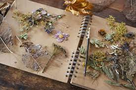 Then maybe this simple dried flower bouquet idea outlined on save on crafts would be a little more up your alley! How To Dry And Press Flowers