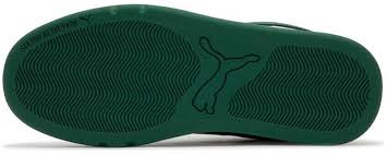 Image result for Pacific Green 2002 Puma