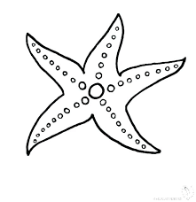 Sea star coloring page from starfish category. Get Inspired For Coloring Pages Of A Star Sugar And Spice