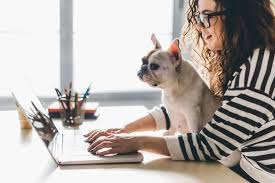Like mars, nestle also competes in the food processing field. To Dog Or Not To Dog The Pros And Cons Of A Dog Friendly Office Tiger Recruitment