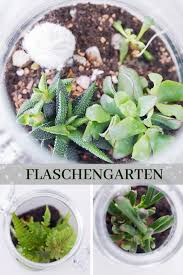 Flaschengarten Anlegen Einfache Anleitung Flaschengarten Garten Flaschen