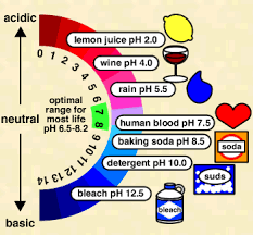 Avanti Wellness Water Testing Your Ph Teaching Chemistry Learning Science Secondary Science Lessons