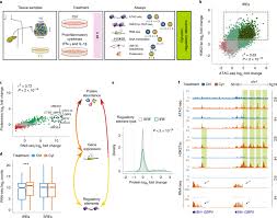 Cerveja foi criada por acaso; The Impact Of Proinflammatory Cytokines On The B Cell Regulatory Landscape Provides Insights Into The Genetics Of Type 1 Diabetes Nature Genetics