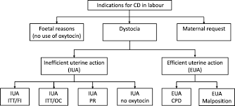 We did not find results for: Association Between Epidural Analgesia And Indications For Intrapartum Caesarean Delivery In Group 1 Of The 10 Group Classification System At A Tertiary Maternity Hospital Shanghai China A Retrospective Cohort Study Bmc Pregnancy