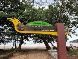 Kebetulan masa cuti merdeka aku ke kuching untuk jemput adik aku (dari airport) yang nak sambung tahun kedua di unimas, dan kami deal untuk jalan jalan ke taman negara bako. Taman Negara Bako Sarawak